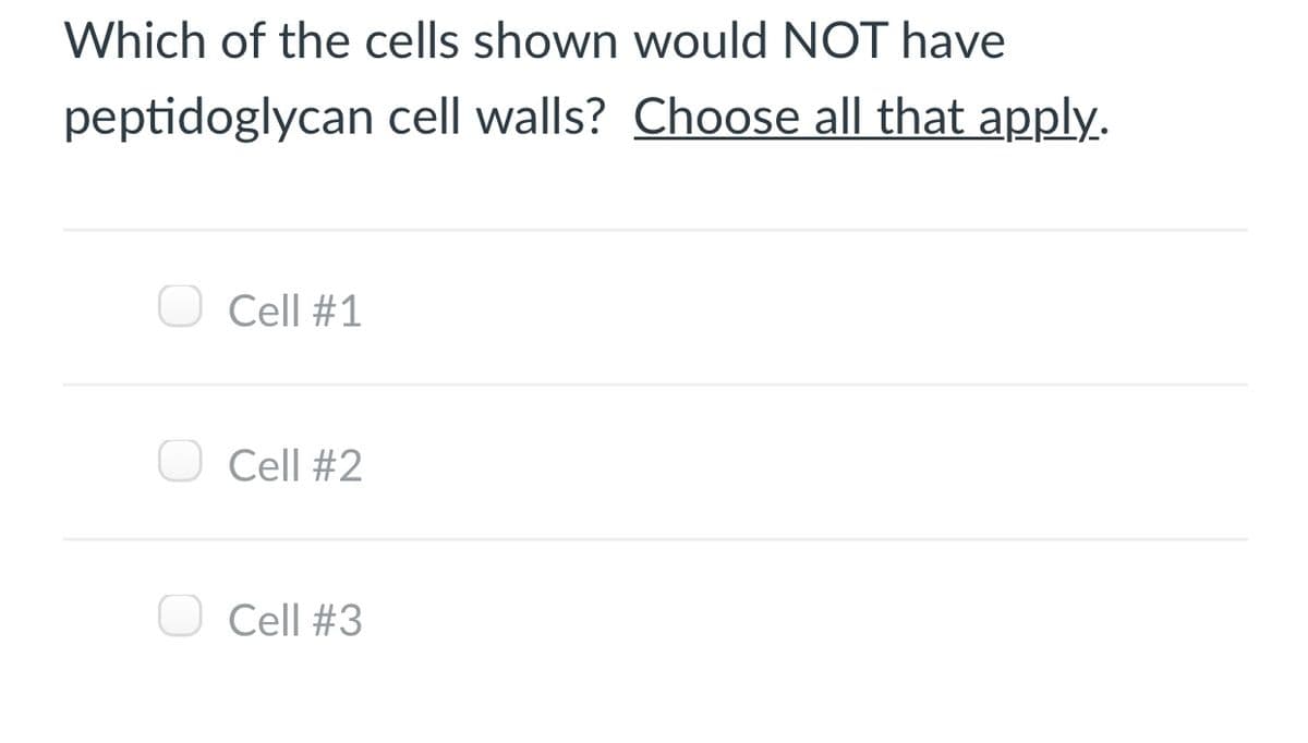 Which of the cells shown would NOT have
peptidoglycan cell walls? Choose all that apply.
Cell #1
O Cell #2
O Cell #3

