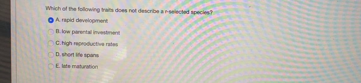 Which of the following traits does not describe a r-selected species?
A. rapid development
B. low parental investment
C. high reproductive rates
D. short life spans
E. late maturation
