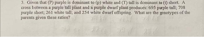 3. Given that (P) purple is dominant to (p) white and (T) tall is dominant to (t) short. A
cross between a purple tall plant and a purple dwarf plant produces: 695 purple tall; 708
purple short; 261 white tall; and 254 white dwarf offspring. What are the genotypes of the
parents given these ratios?