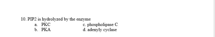 10. PIP2 is hydrolyzed by the enzyme
a. PKC
b. PKA
c. phospholipase C
d. adenyly cyclase