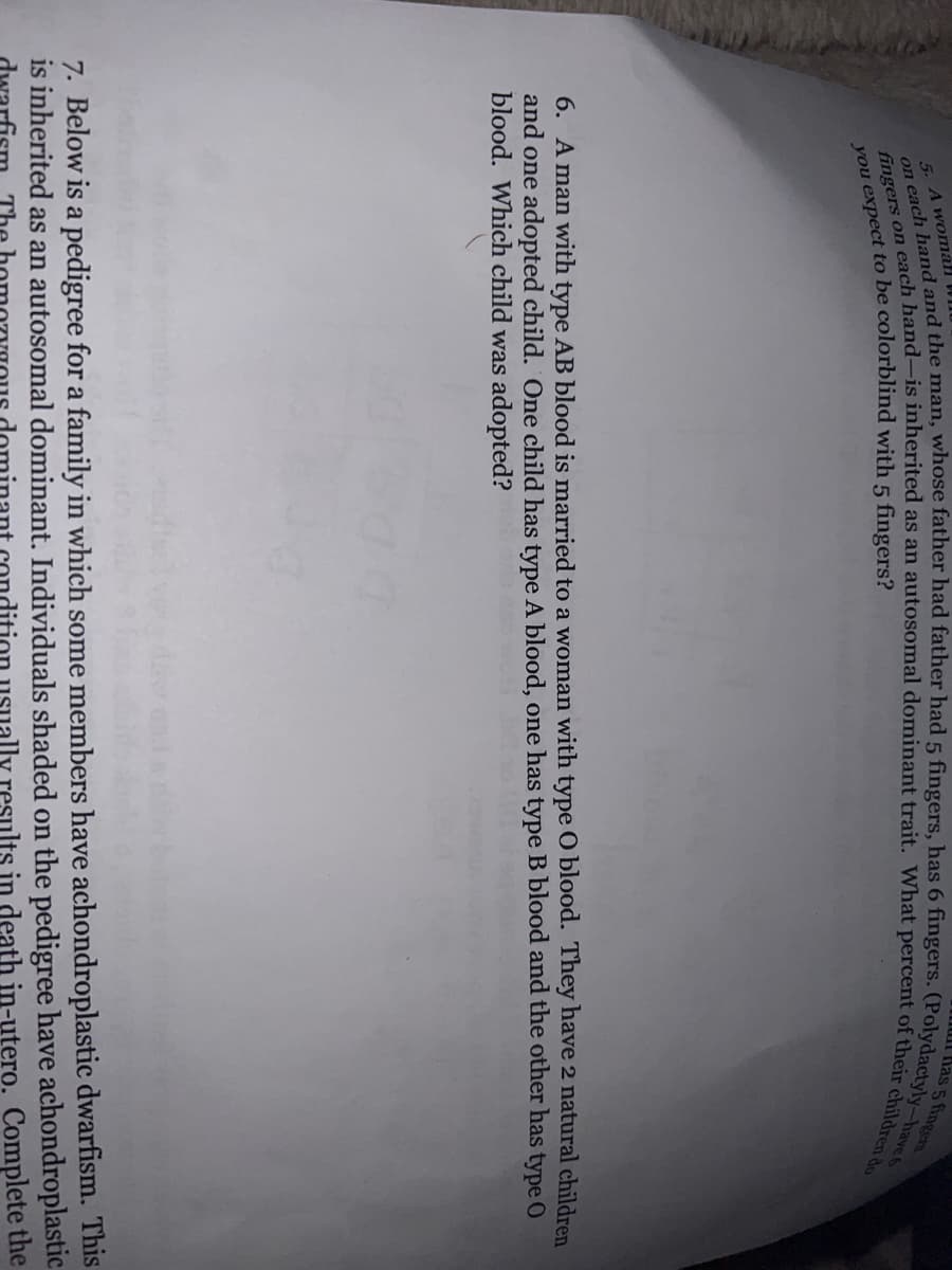 5. A womall WIl
6. A man with type AB blood is married to a woman with type 0 blood. They have 2 natural children
and one adopted child. One child has type A blood, one has type B blood and the other has type O
blood. Which child was adopted?
7. Below is a pedigree for a family in which some members have achondroplastic dwarfism. This
is inherited as an autosomal dominant. Individuals shaded on the pedigree have achondroplastic.
you to be 5 fingers?
usually results in death in-utero. Complete the
