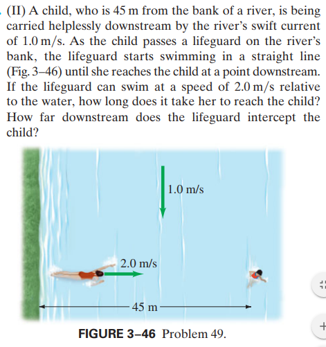 - (II) A child, who is 45 m from the bank of a river, is being
carried helplessly downstream by the river's swift current
of 1.0 m/s. As the child passes a lifeguard on the river's
bank, the lifeguard starts swimming in a straight line
(Fig. 3–46) until she reaches the child at a point downstream.
If the lifeguard can swim at a speed of 2.0 m/s relative
to the water, how long does it take her to reach the child?
How far downstream does the lifeguard intercept the
child?
1.0 m/s
2.0 m/s
- 45 m
FIGURE 3-46 Problem 49.
