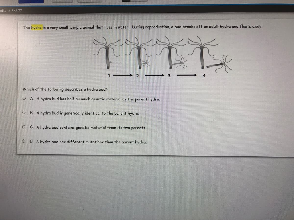 edity /7 of 22
The hydra is a very small, simple animal that lives in water. During reproduction, a bud breaks off an adult hydra and floats away.
1 -
3.
Which of the following describes a hydra bud?
O A. A hydra bud has half as much genetic material as the parent hydra.
O .
hydra bud is genetically identical to the parent hydra.
O C. A hydra bud contains genetic material from its two parents.
O D. A hydra bud has different mutations than the parent hydra.
