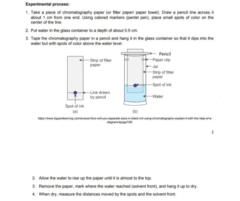 Experimental process:
1. Take a piece of chromatography paper (or filter paper/ paper towel). Draw a pencil line across it
about 1 cm from one end. Using colored markers (pentel pen), place small spots of color on the
center of the line.
2. Put water in the glass container to a depth of about 0.5 cm.
3. Tape the chromatography paper in a pencil and hang it in the glass container so that it dips into the
water but with spots of color above the water level.
Pencil
-Paper clip
-Strip of filter
раper
-Jar
-Srip of filter
раper
-Spot of ink
-Line drawn
by pencil
-Water
Spot of ink
(a)
(b)
https://www.topperieaming.com/answer/how-will-you-separate-dyes-in-black-ink-using-chromatography-explain-t-with-the-help-of-a-
diagram/spxgq7155
2
2. Allow the water to rise up the paper until it is almost to the top.
3. Remove the paper, mark where the water reached (solvent front), and hang it up to dry.
4. When dry, measure the distances moved by the spots and the solvent front.
