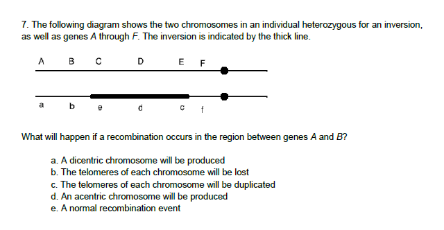 7. The following diagram shows the two chromosomes in an individual heterozygous for an inversion,
as well as genes A through F. The inversion is indicated by the thick line.
What will happen if a recombination occurs in the region between genes A and B?
a. A dicentric chromosome will be produced
b. The telomeres of each chromosome will be lost
c. The telomeres of each chromosome will be duplicated
d. An acentric chromosome will be produced
e. A normal recombination event

