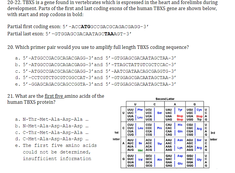 20-22. TBX5 is a gene found in vertebrates which is expressed in the heart and forelimbs during
development. Parts of the first and last coding exons of the human TBX5 gene are shown below,
with start and stop codons in bold:
Partial first coding exon: 5' -ACCATGGCCGACGCAGACGAGG-3'
Partial last exon: 5' -GTGGAGCGACAATAGCTAAAGT-3'
20. Which primer pair would you use to amplify full length TBX5 coding sequence?
a. 5'-ATGGCCGACGCAGACGAGG-3'and 5'-GTGGAGCGACAATAGCTAA-3'
b. 5'-ATGGCcCGACGCAGACGAGG-3'and 5'-TTAGCTATTGTCGCTCCAC-3'
c. 5'-ATGGCCGACGCAGACGAGG-3'and 5'-AATCGATAACAGCGAGGTG-3'
d. 5'-CCTCGTCTGCGTCGGCCAT-3'and 5'-GTGGAGCGACAATAGCTAA-3'
e. 5'-GGAGCAGACGCAGCCGGTA-3'and 5'-GTGGAGCGACAATAGCTAA-3'
21. What are the first five amino acids of the
human TBX5 protein?
Second Letter
Phe UCU
UCC
UCA
UCG
UGU Cys U
UGC
UGA Stop A
UGG
UUU
UAU
UAC
UAA
UAG
Tyr
U UUC
UUA
UUG
Ser
a. N-Thr-Met-Ala-Asp-Ala .
Stop
Stop
Leu
Trp G
CUU
C Cuc
CUA
CUG
CU
Leu cCC
CCA
CCG
CAU
CÁC
CAA
CAG
His
CGU
CGC
CGA
b. N-Met-Ala-Asp-Ala-Asp
...
Pro
Arg
c. C-Thr-Met-Ala-Asp-Ala .
Gin
1st
Зrd
...
d. C-Met-Ala-Asp-Ala-Asp
letter
Ser u letter
AUU
A AUC
AUA
AUG
ACU
lle ACC
ACA
AAU
Asn
Thr AAC
AAA
AAG
AGU
AGC
AGA
AGG
e. The first five amino acids
Lys
Arg
Met |ACG
could not be determined,
GUU
G GUC
GUA
GUG
GCU
Val GCC
GCA
GCG
GAU
GÁC
Asp
GGU
GGC
GGA
GGG
insufficient information
Gly c
Ala
GAA
Glu
GAG
DUAC5CACUuAC
