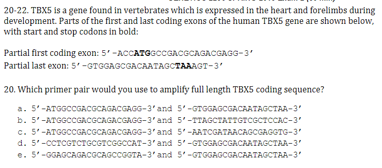 20-22. TBX5 is a gene found in vertebrates which is expressed in the heart and forelimbs during
development. Parts of the first and last coding exons of the human TBX5 gene are shown below,
with start and stop codons in bold:
Partial first coding exon: 5' -ACCATGGCCGACGCAGACGAGG-3'
Partial last exon: 5'-GTGGAGCGACAATAGCTAAAGT-3'
20. Which primer pair would you use to amplify full length TBX5 coding sequence?
a. 5'-ATGGCCGACGCAGACGAGG-3'and 5'-GTGGAGCGACAATAGCTAA-3'
b. 5'-ATGGCCGACGCAGACGAGG-3'and 5'-TTAGCTATTGTCGCTCCAC-3'
c. 5'-ATGGCCGACGCAGACGAGG-3'and 5'-AATCGATAACAGCGAGGTG-3'
d. 5'-CCTCGTCTGCGTCGGCCAT-3'and 5'-GTGGAGCGACAATAGCTAA-3'
e. 5'-GGAGCAGACGCAGCCGGTA-3'and 5'-GTGGAGCGACAATAGCTAA-3'
