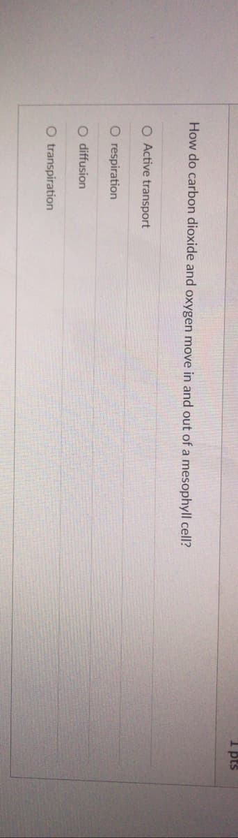 1 pts
How do carbon dioxide and oxygen move in and out of a mesophyll cell?
O Active transport
O respiration
diffusion
O transpiration
