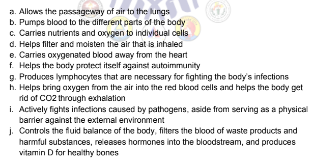a. Allows the passageway of air to the lungs
b. Pumps blood to the different parts of the body
c. Carries nutrients and oxygen to individual cells
d. Helps filter and moisten the air that is inhaled
e. Carries oxygenated blood away from the heart
f. Helps the body protect itself against autoimmunity
g. Produces lymphocytes that are necessary for fighting the body's infections
h. Helps bring oxygen from the air into the red blood cells and helps the body get
rid of CO2 through exhalation
i. Actively fights infections caused by pathogens, aside from serving as a physical
barrier against the external environment
j. Controls the fluid balance of the body, filters the blood of waste products and
harmful substances, releases hormones into the bloodstream, and produces
vitamin D for healthy bones