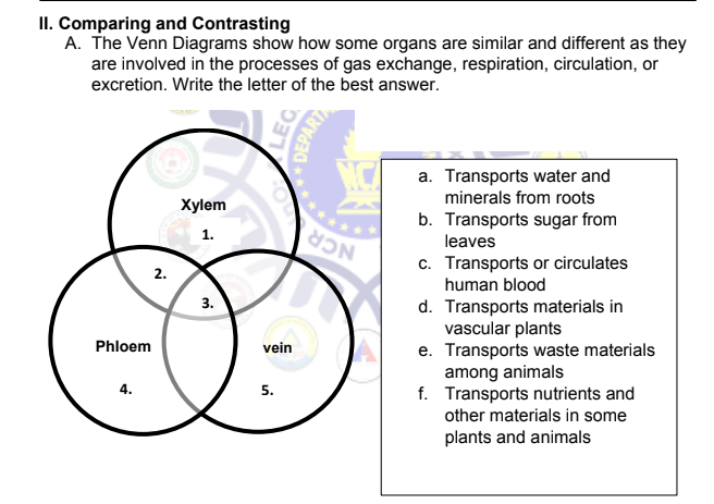 II. Comparing and Contrasting
A. The Venn Diagrams show how some organs are similar and different as they
are involved in the processes of gas exchange, respiration, circulation, or
excretion. Write the letter of the best answer.
Xylem
a. Transports water and
minerals from roots
b. Transports sugar from
leaves
c. Transports or circulates
human blood
3.
d. Transports materials in
vascular plants
e. Transports waste materials
among animals
f.
Transports nutrients and
other materials in some
plants and animals
Phloem
4.
2.
LEG
DEPARTA
vein
5.
CON