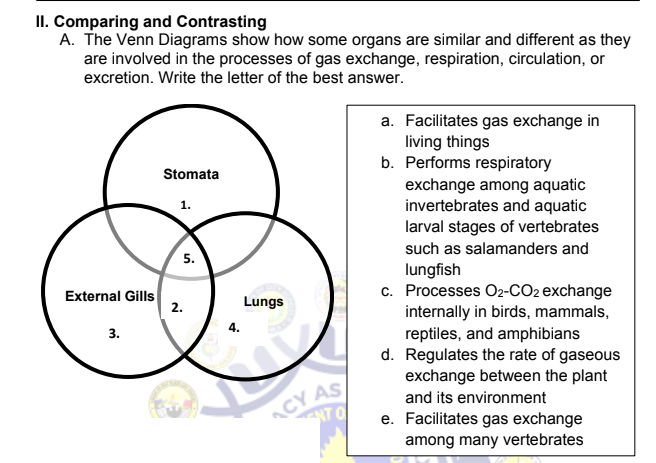 II. Comparing and Contrasting
A. The Venn Diagrams show how some organs are similar and different as they
are involved in the processes of gas exchange, respiration, circulation, or
excretion. Write the letter of the best answer.
a.
Facilitates gas exchange in
living things
b. Performs respiratory
Stomata
exchange among aquatic
invertebrates and aquatic
larval stages of vertebrates
such as salamanders and
lungfish
5.
c. Processes O2-CO2 exchange
internally in birds, mammals,
reptiles, and amphibians
d. Regulates the rate of gaseous
exchange between the plant
and its environment
e. Facilitates gas exchange
among many vertebrates
External Gills
3.
2.
Lungs
ACY AS
NT O