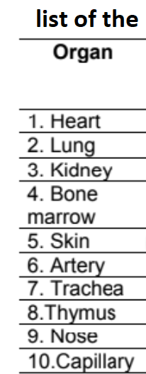 list of the
Organ
1. Heart
2. Lung
3. Kidney
4. Bone
marrow
5. Skin
6. Artery
7. Trachea
8.Thymus
9. Nose
10.Capillary