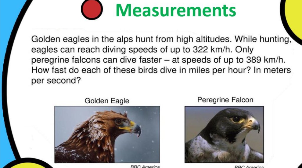 Measurements
Golden eagles in the alps hunt from high altitudes. While hunting,
eagles can reach diving speeds of up to 322 km/h. Only
peregrine falcons can dive faster – at speeds of up to 389 km/h.
How fast do each of these birds dive in miles per hour? In meters
per second?
Golden Eagle
Peregrine Falcon
RRG America
BBC America
