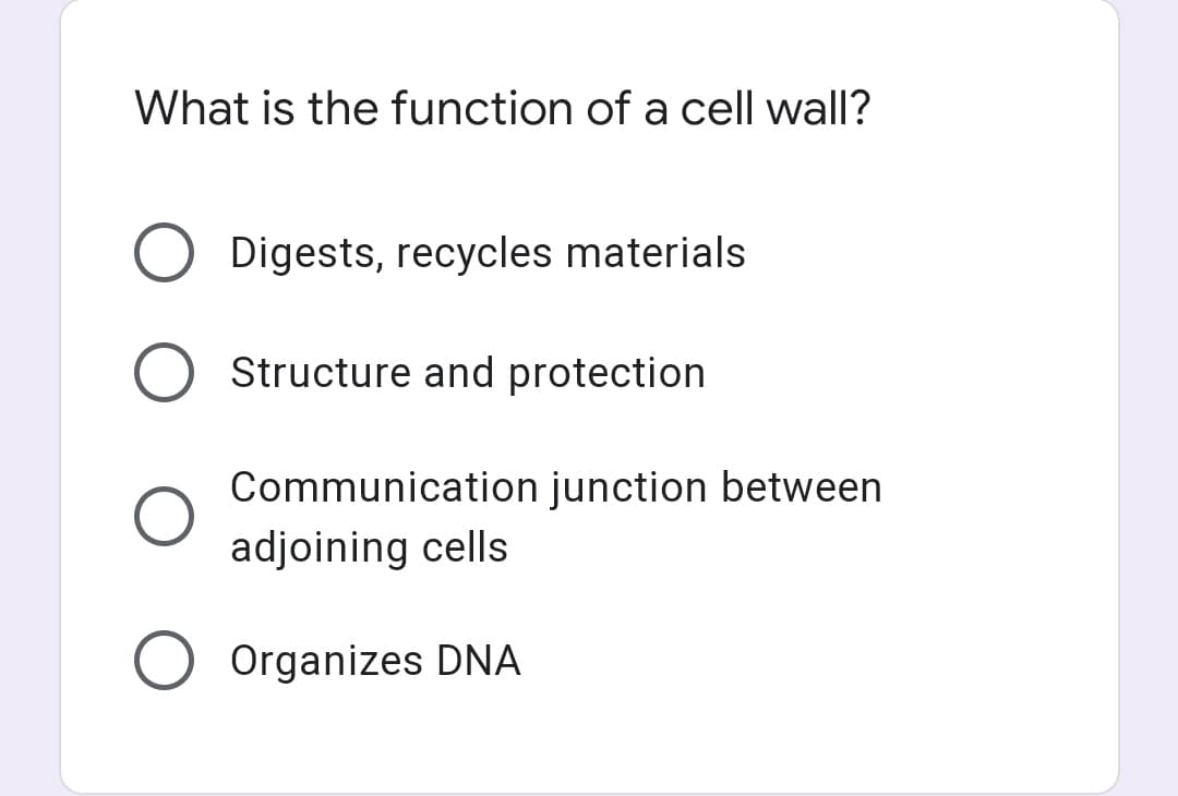 What is the function of a cell wall?
Digests, recycles materials
Structure and protection
Communication junction between
adjoining cells
Organizes DNA
