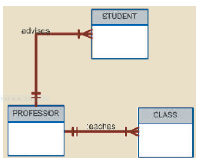 STUDENT
advisca
Fectangular Sni
PROFESSOR
CLASS
teaches
