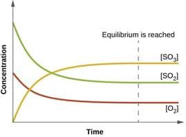 Equilibrium is reached
[So,)
Time
Concentration
