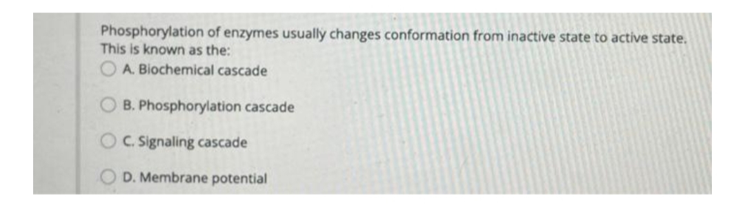 Phosphorylation of enzymes usually changes conformation from inactive state to active state.
This is known as the:
OA. Biochemical cascade
B. Phosphorylation cascade
C. Signaling cascade
D. Membrane potential
