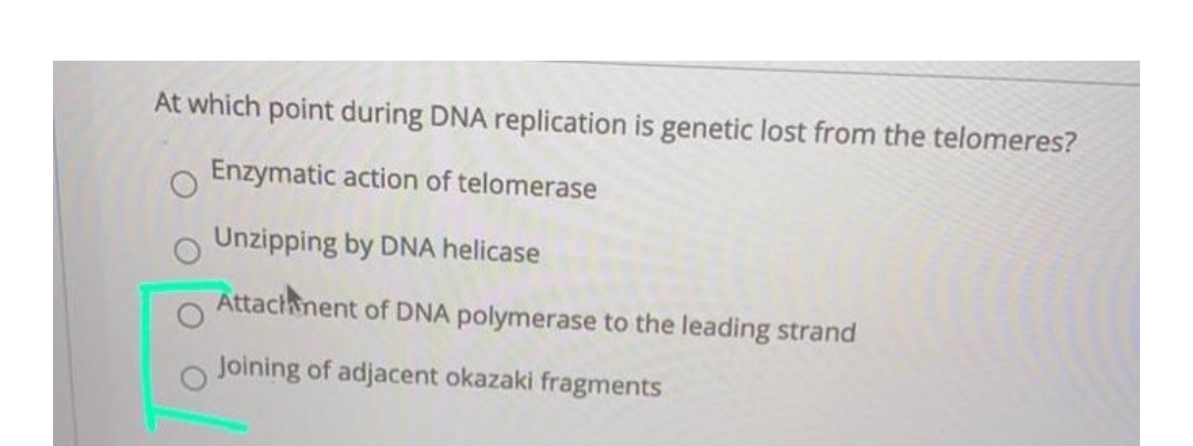 At which point during DNA replication is genetic lost from the telomeres?
Enzymatic action of telomerase
Unzipping by DNA helicase
Attach nent of DNA polymerase to the leading strand
Joining of adjacent okazaki fragments
