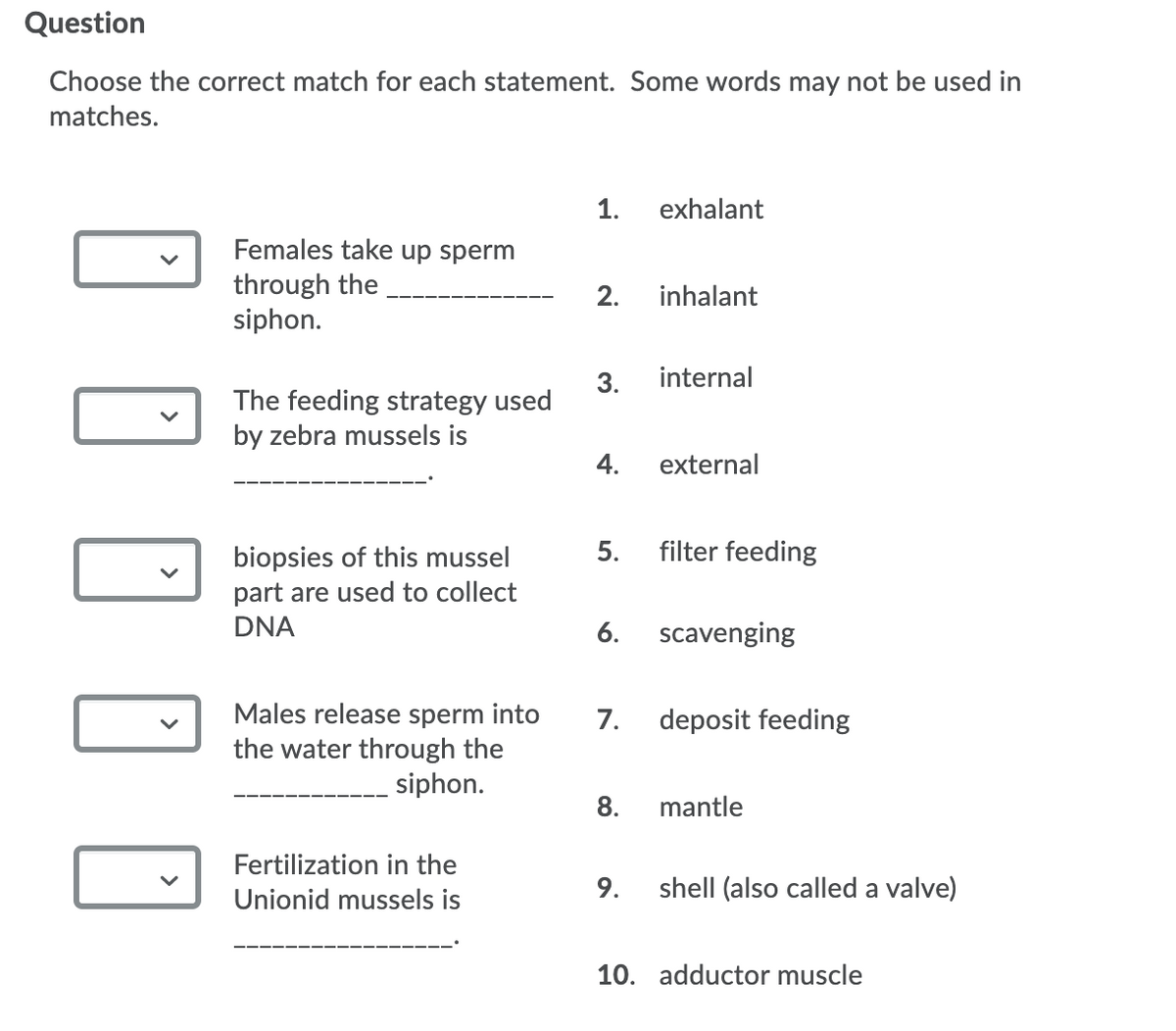 Question
Choose the correct match for each statement. Some words may not be used in
matches.
1.
exhalant
Females take up sperm
through the
siphon.
2.
inhalant
3.
internal
The feeding strategy used
by zebra mussels is
4.
external
5.
filter feeding
biopsies of this mussel
part are used to collect
DNA
6.
scavenging
Males release sperm into
the water through the
siphon.
7.
deposit feeding
8.
mantle
Fertilization in the
Unionid mussels is
9.
shell (also called a valve)
10. adductor muscle
