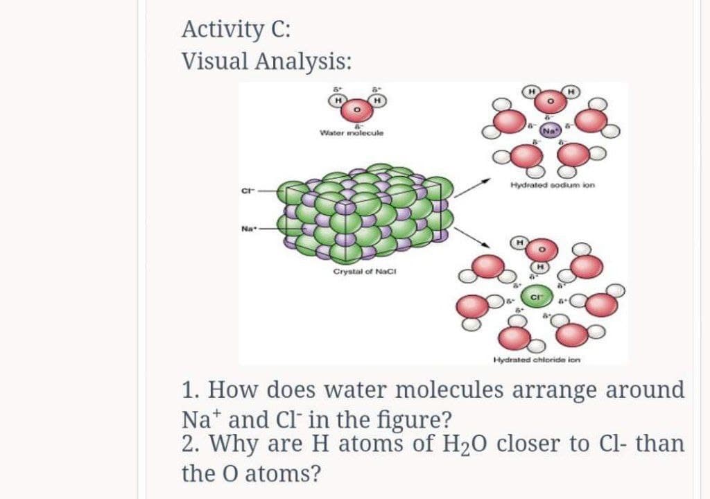 Activity C:
Visual Analysis:
cr
Na
Water molecule
Crystal of NaCl
Hydrated sodium ion
Hydrated chloride ion
1. How does water molecules arrange around
Na and Cl in the figure?
2. Why are H atoms of H₂O closer to Cl- than
the O atoms?