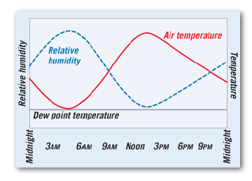 Air temperature
Relative
humidity
Dew point temperature
ЗАМ
GAM 9AM Noon 3PM 6PM 9PM
Relative humidity
Midnight
Midnight
Temperature
