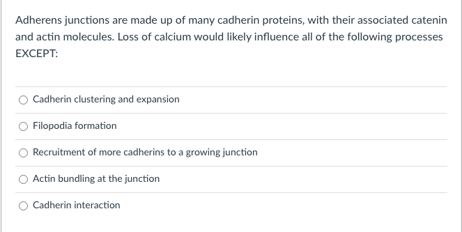 Adherens junctions are made up of many cadherin proteins, with their associated catenin
and actin molecules. Loss of calcium would likely influence all of the following processes
EXCEPT:
Cadherin clustering and expansion
Filopodia formation
Recruitment of more cadherins to a growing junction
Actin bundling at the junction
Cadherin interaction
