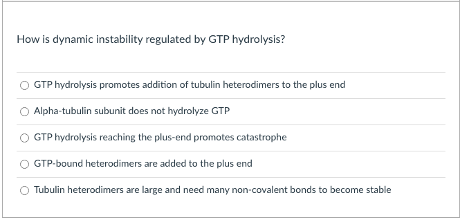 How is dynamic instability regulated by GTP hydrolysis?
GTP hydrolysis promotes addition of tubulin heterodimers to the plus end
Alpha-tubulin subunit does not hydrolyze GTP
GTP hydrolysis reaching the plus-end promotes catastrophe
GTP-bound heterodimers are added to the plus end
Tubulin heterodimers are large and need many non-covalent bonds to become stable

