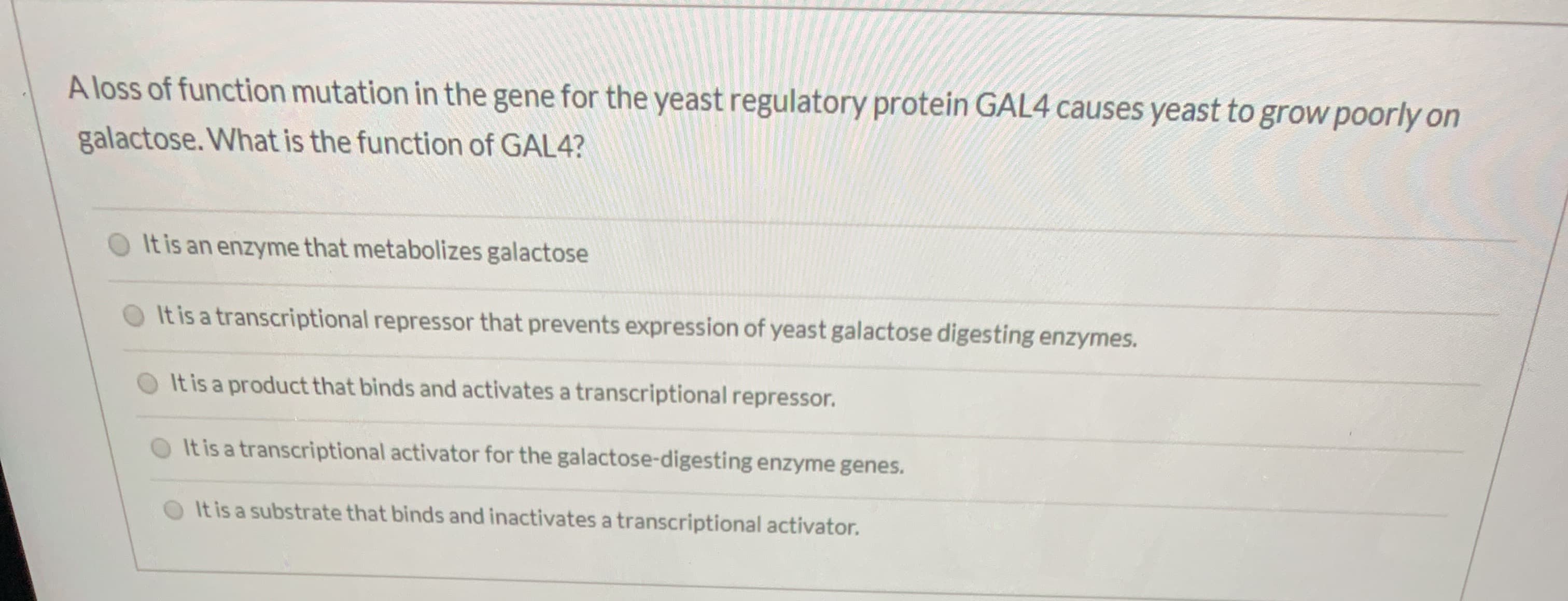 A loss of function mutation in the gene for the yeast regulatory protein GAL4 causes yeast to grow poorly on
galactose. What is the function of GAL4?
It is an enzyme that metabolizes galactose
It is a transcriptional repressor that prevents expression of yeast galactose digesting enzymes.
It is a product that binds and activates a transcriptional repressor.
It is a transcriptional activator for the galactose-digesting enzyme genes.
It is a substrate that binds and inactivates a transcriptional activator.
