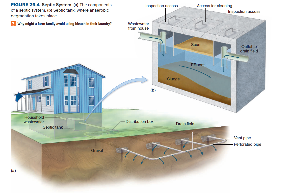 FIGURE 29.4 Septic System (a) The components
Inspection access
Access for cleaning
of a septic system. (b) Septic tank, where anaerobic
degradation takes place.
Inspection access
? Why might a farm family avoid using bleach in their laundry?
Wastewater
from house
Scum
Outlet to
drain field
Effluent
Sludge
(b)
Household
wastewater
Distribution box
Drain field
Septic tank
Vent pipe
Perforated pipe
Gravel
(a)
