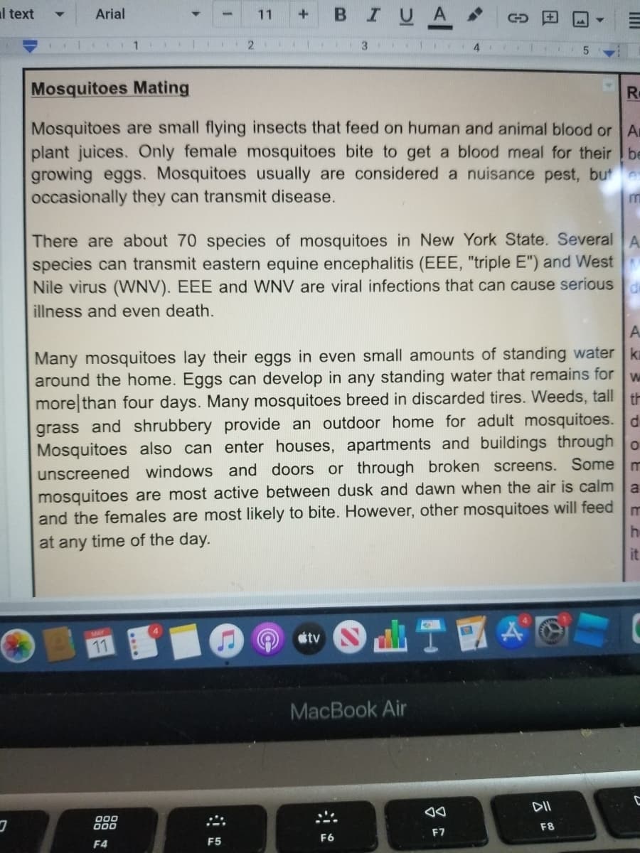 al text
Arial
BIUA
11
4
Mosquitoes Mating
Re
Mosquitoes are small flying insects that feed on human and animal blood or A
plant juices. Only female mosquitoes bite to get a blood meal for their be
growing eggs. Mosquitoes usually are considered a nuisance pest, bute
occasionally they can transmit disease.
There are about 70 species of mosquitoes in New York State. Several A
species can transmit eastern equine encephalitis (EEE, "triple E") and West
Nile virus (WNV). EEE and WNV are viral infections that can cause serious
de
illness and even death.
A.
Many mosquitoes lay their eggs in even small amounts of standing water ka
around the home. Eggs can develop in any standing water that remains for w
more than four days. Many mosquitoes breed in discarded tires. Weeds, tall th
grass and shrubbery provide an outdoor home for adult mosquitoes. d
Mosquitoes also can enter houses, apartments and buildings through o
unscreened windows and doors or through broken screens. Some m
mosquitoes are most active between dusk and dawn when the air is calm a
and the females are most likely to bite. However, other mosquitoes will feed
he
at any time of the day.
it
山T國A回
MAY
tv
11
MacBook Air
000
F8
F7
F6
F4
F5
日
云
