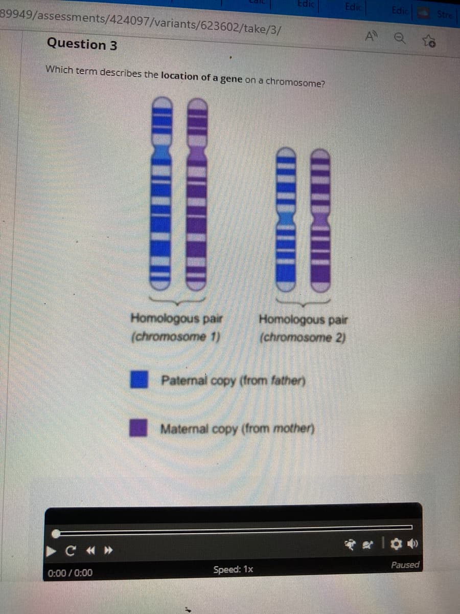 89949/assessments/424097/variants/623602/take/3/
Question 3
Which term describes the location of a gene on a chromosome?
Homologous pair
(chromosome 1)
C«»
0:00 / 0:00
Edic
Homologous pair
(chromosome 2)
Paternal copy (from father)
Maternal copy (from mother)
Speed: 1x
A
Edic
Paused
Stre