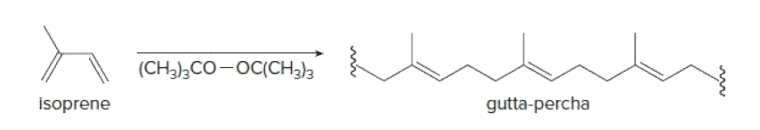 (CH3);CO-OC(CH3)3
isoprene
gutta-percha
