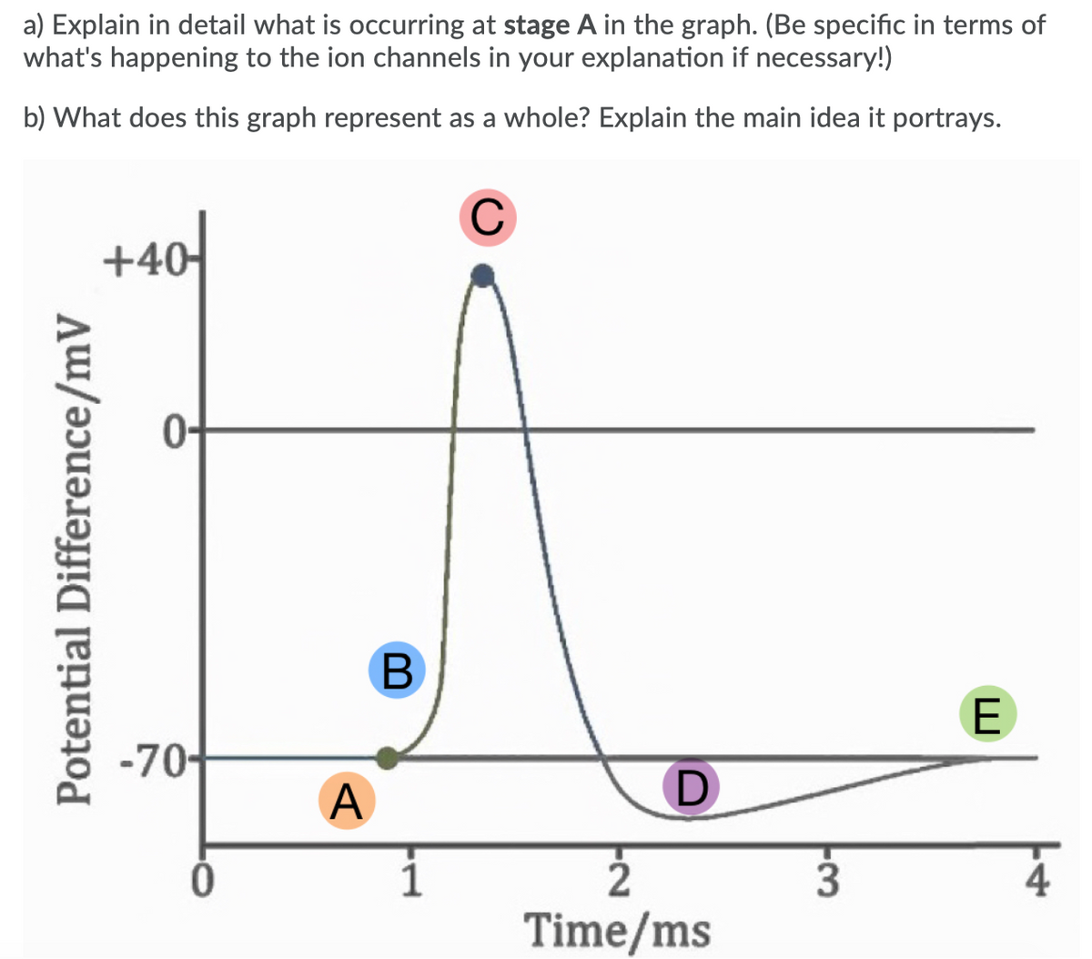 a) Explain in detail what is occurring at stage A in the graph. (Be specific in terms of
what's happening to the ion channels in your explanation if necessary!)
b) What does this graph represent as a whole? Explain the main idea it portrays.
+40|
-70-
A
1
2
4
Time/ms
Potential Difference/mV
B
