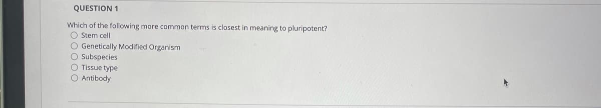 QUESTION 1
Which of the following more common terms is closest in meaning to pluripotent?
O Stem cell
O Genetically Modified Organism
O Subspecies
O Tissue type
O Antibody
