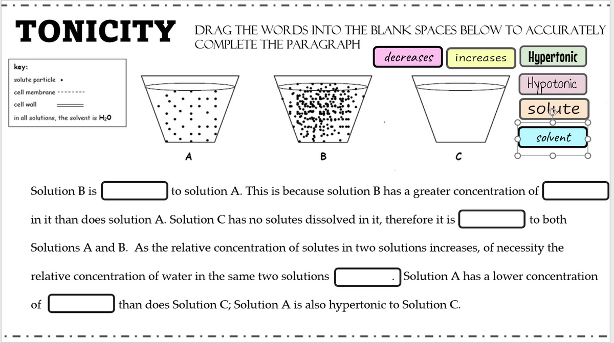 TONICITY DRAGTHE WORDS INTO THE BLANK SPACES BELOW TO ACCURATELY
COMPLETE THE PARAGRAPH
decreases
Hypertonic
increases
key:
Hypotonic
solute particle •
cell membrane
cell wall
solute
in all solutions, the solvent is H20
solvent
A
В
Solution B is
to solution A. This is because solution B has a greater concentration of
in it than does solution A. Solution C has no solutes dissolved in it, therefore it is
to both
Solutions A and B. As the relative concentration of solutes in two solutions increases, of necessity the
relative concentration of water in the same two solutions
Solution A has a lower concentration
of
than does Solution C; Solution A is also hypertonic to Sol
tion C.
