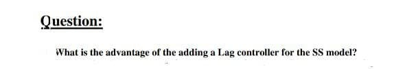 Question:
What is the advantage of the adding a Lag controller for the SS model?
