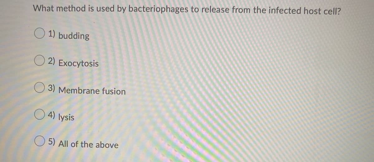 What method is used by bacteriophages to release from the infected host cell?
O 1) budding
O 2) Exocytosis
3) Membrane fusion
O 4) lysis
O 5) All of the above
