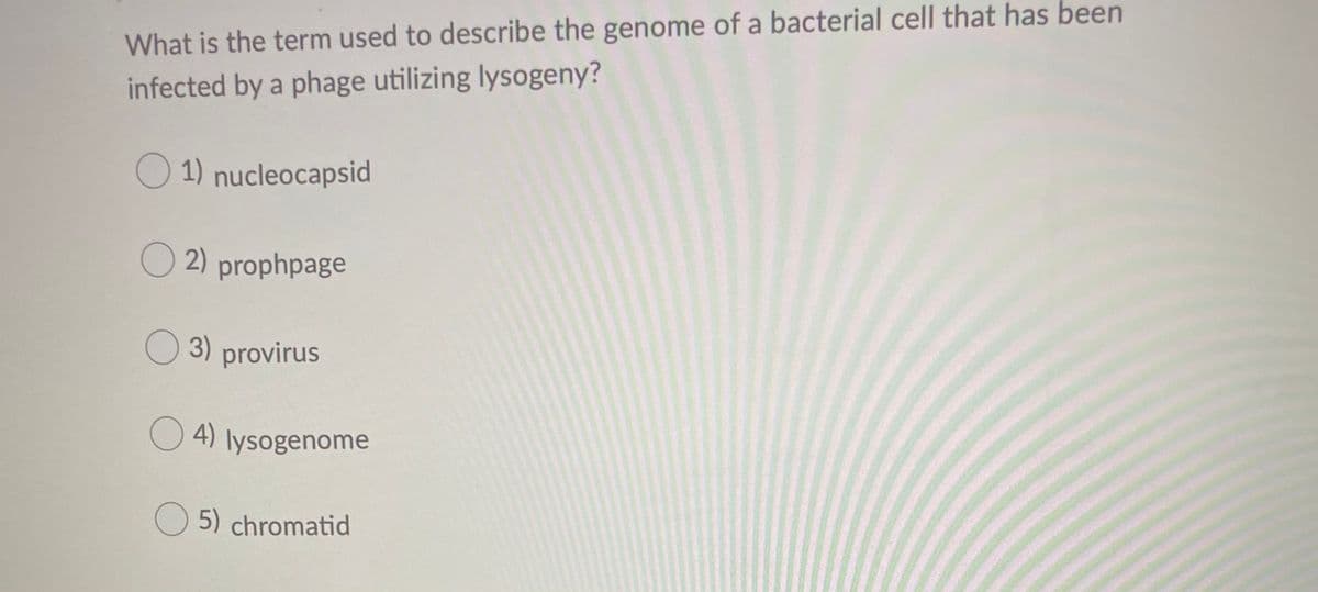 What is the term used to describe the genome of a bacterial cell that has been
infected by a phage utilizing lysogeny?
O 1) nucleocapsid
O 2) prophpage
O 3) provirus
O 4) lysogenome
O 5) chromatid
