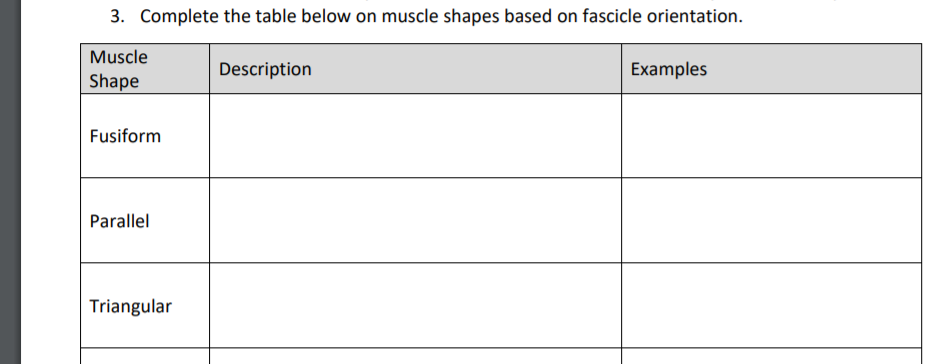 3. Complete the table below on muscle shapes based on fascicle orientation.
Muscle
Description
Examples
Shape
Fusiform
Parallel
Triangular

