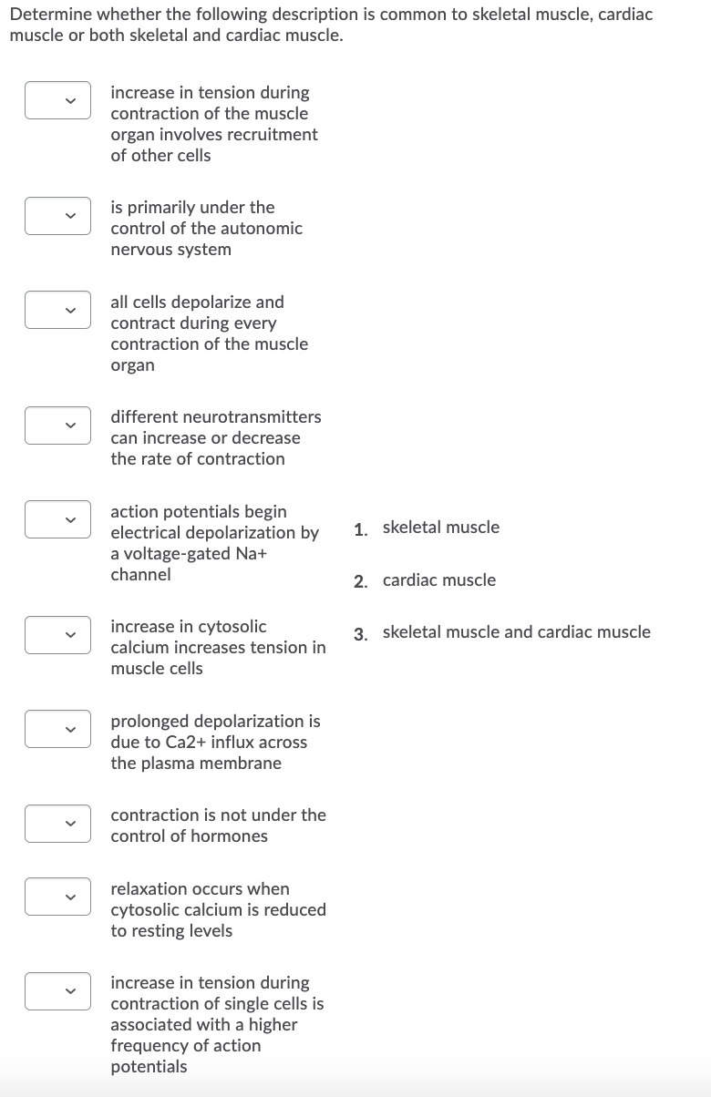 Determine whether the following description is common to skeletal muscle, cardiac
muscle or both skeletal and cardiac muscle.
increase in tension during
contraction of the muscle
organ involves recruitment
of other cells
is primarily under the
control of the autonomic
nervous system
all cells depolarize and
contract during every
contraction of the muscle
organ
different neurotransmitters
can increase or decrease
the rate of contraction
action potentials begin
electrical depolarization by
a voltage-gated Na+
channel
1. skeletal muscle
2. cardiac muscle
increase in cytosolic
3. skeletal muscle and cardiac muscle
calcium increases tension in
muscle cells
prolonged depolarization is
due to Ca2+ influx across
the plasma membrane
contraction is not under the
control of hormones
relaxation occurs when
cytosolic calcium is reduced
to resting levels
increase in tension during
contraction of single cells is
associated with a higher
frequency of action
potentials
