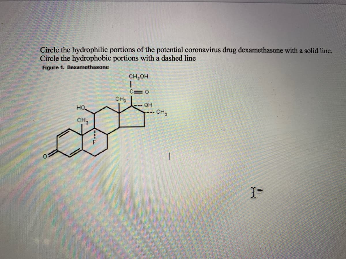 Circle the hydrophilic portions of the potential coronavirus drug dexamethasone with a solid line.
Circle the hydrophobic portions with a dashed line
Figure 1. Dexamethasone
CH;OH
C= 0
CH3
но.
--- OH
CH3
CH,
lili
