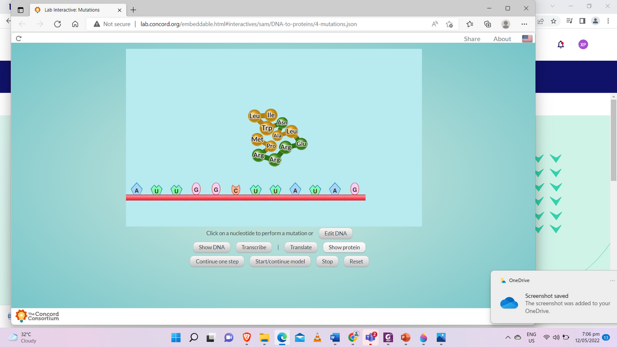 O Lab Interactive: Mutations
+
ES
A Not secure | lab.concord.org/embeddable.html#interactives/sam/DNA-to-proteins/4-mutations.json
Share
About
XP
Leu_ lle
Asn
Trp
Leu
Ala
Met
Pro Arg
Glu
Arg Arg
Click on a nucleotide to perform a mutation or
Edit DNA
Show DNA
Transcribe
|
Translate
Show protein
Continue one step
Start/continue model
Stop
Reset
A OneDrive
Screenshot saved
The screenshot was added to your
OneDrive.
The Concord
Consortium
32°C
ENG
7:06 pm
Cloudy
US
12/05/2022
...
