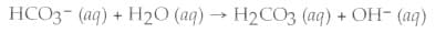HCO3- (aq) + H2O (aq) → H2CO3 (aq) + OH- (aq)
