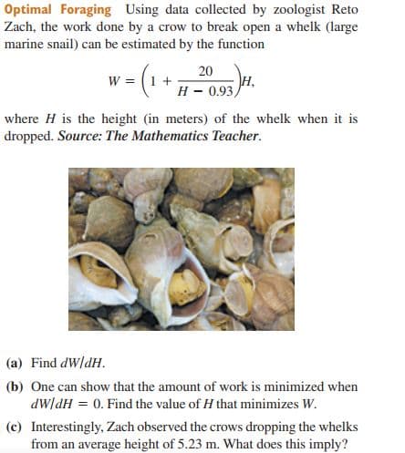 Optimal Foraging Using data collected by zoologist Reto
Zach, the work done by a crow to break open a whelk (large
marine snail) can be estimated by the function
20
W = (1 +
H - 0.93)
where H is the height (in meters) of the whelk when it is
dropped. Source: The Mathematics Teacher.
(a) Find dW/dH.
(b) One can show that the amount of work is minimized when
dWldH = 0. Find the value of H that minimizes W.
(c) Interestingly, Zach observed the crows dropping the whelks
from an average height of 5.23 m. What does this imply?
