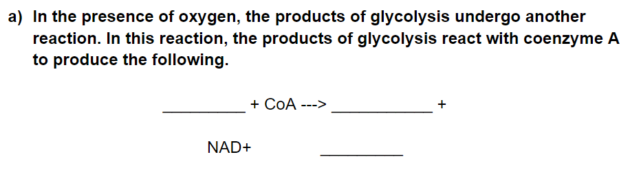 a) In the presence of oxygen, the products of glycolysis undergo another
reaction. In this reaction, the products of glycolysis react with coenzyme A
to produce the following.
+ COA --->
+
NAD+
