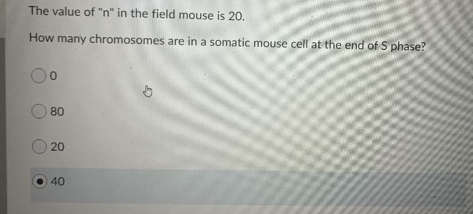 The value of "n" in the field mouse is 20.
How many chromosomes are in a somatic mouse cell at the end of S phase?
0.
80
20
40
