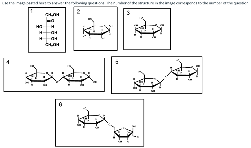 Use the image pasted here to answer the following questions. The number of the structure in the image corresponds to the number of the question.
1
2
3
4
H
OH
НО
CH₂OH
=0
O. H
Н Н
ка
OH
Н
Н
OH
Н
HO-H
H-OH
H-OH
CH2OH
6
HO
OH
H
Н
H
Н
H
OH
OH
OH
он т
Н
0 H
НО
HO
OH
OH
Н
н
H
OH
Н
H
OH
О
OH
.о. н
OH
Н
5
H
H
OH
OH
H
OH
H
Н
OH
OH
НО
OH
Н
IH
Н
НО
OH
Н
он
H
Н
–
OH
H
0
OH
OH
Н
H
O
Н
HO
он
Н
H
Н
0
OH
OH
Н