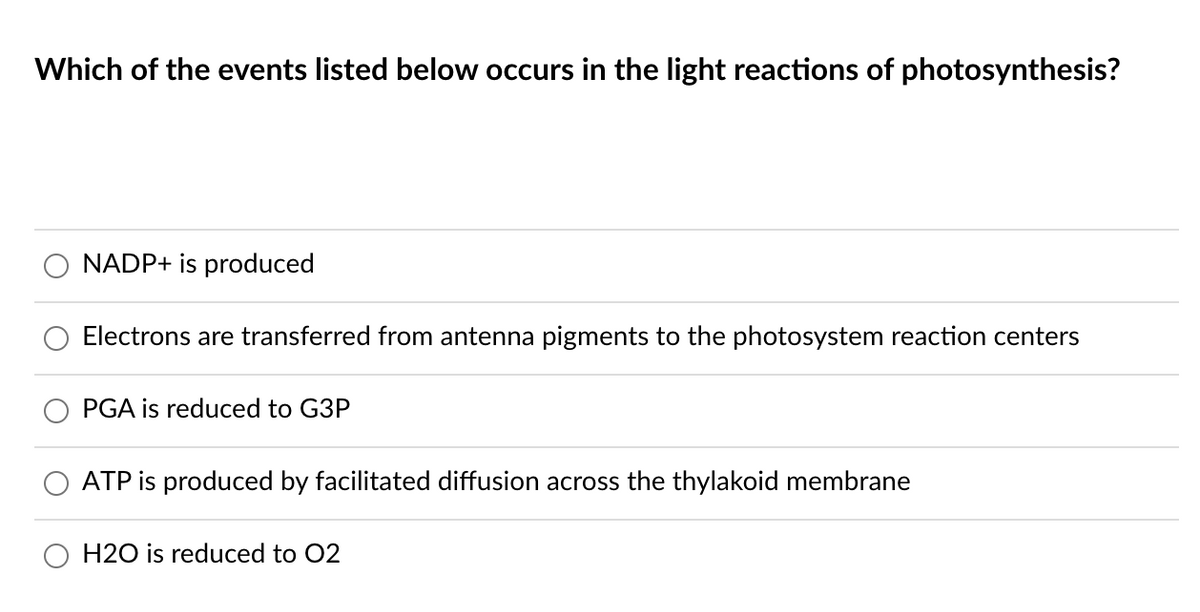 Which of the events listed below occurs in the light reactions of photosynthesis?
O NADP+ is produced
Electrons are transferred from antenna pigments to the photosystem reaction centers
PGA is reduced to G3P
ATP is produced by facilitated diffusion across the thylakoid membrane
H2O is reduced to 02
