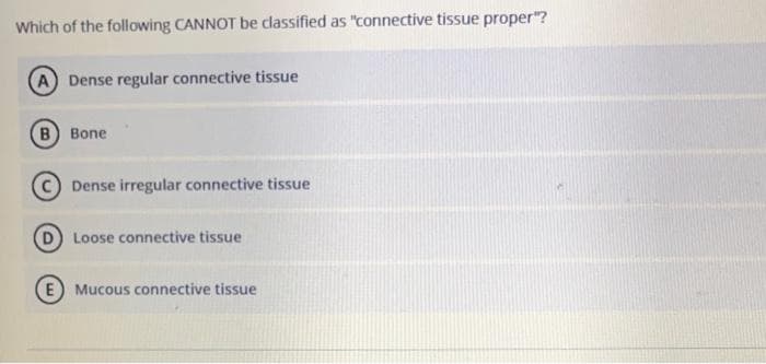 Which of the following CANNOT be classified as "connective tissue proper"?
A Dense regular connective tissue
(в) Вопe
Dense irregular connective tissue
Loose connective tissue
E) Mucous connective tissue
