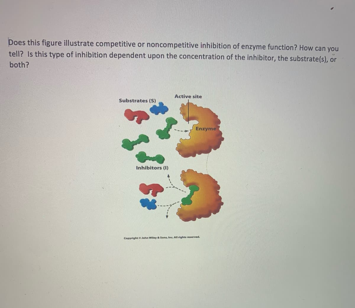 Does this figure illustrate competitive or noncompetitive inhibition of enzyme function? How can you
tell? Is this type of inhibition dependent upon the concentration of the inhibitor, the substrate(s), or
both?
Active site
Substrates (S)
Enzyme
Inhibitors (I)
Copyright o John Wiley & Sons, Inc. All rights reserved.
